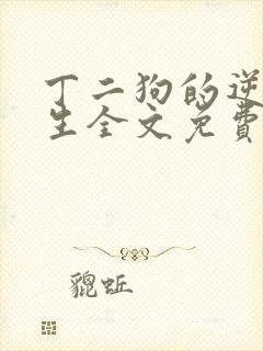 丁二狗的逆袭人生全文免费阅读