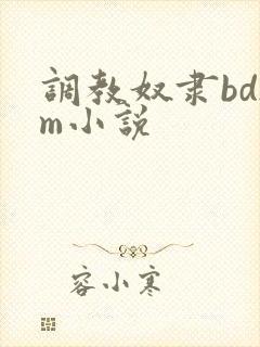 调教奴隶bdsm小说封面