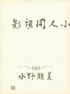 影视同人小说h
