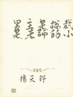 男主是总裁女主是老师的小说封面
