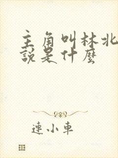 主角叫林北的小说是什么