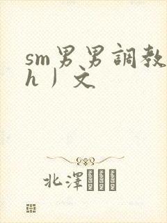 sm男男调教〈h丿文封面