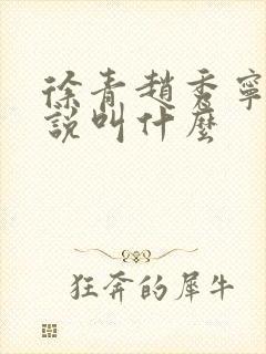 徐青赵秀宁的小说叫什么