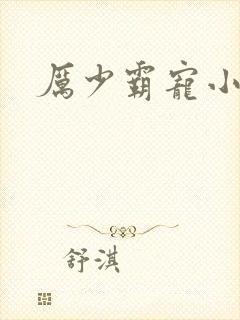 厉少霸宠小甜妻封面