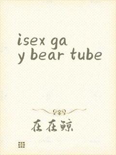 isex gay bear tube封面