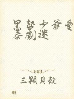 黑帮少爷爱上我泰剧迷