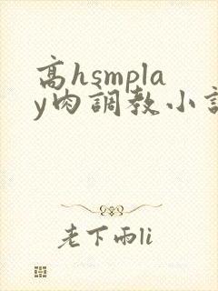 高hsmplay肉调教小说