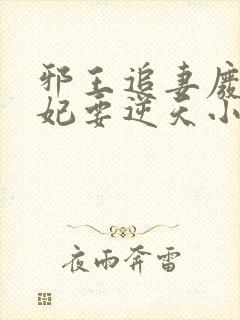 邪王追妻废材狂妃要逆天小说