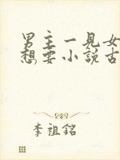 男主一见女主就想要小说古言