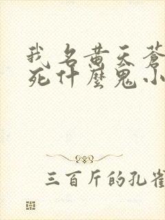 我名黄天苍天已死什么鬼小说笔趣阁无删减