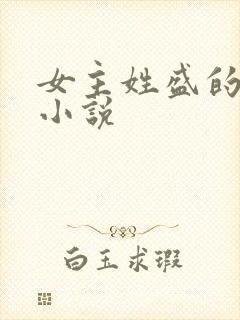女主姓盛的现代小说