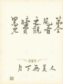 黑暗之风第一季免费观看全集高清