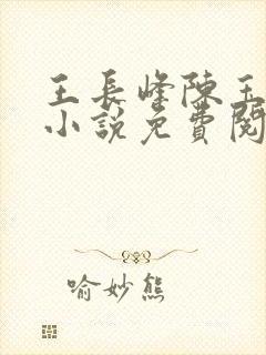 王长峰陈玉娆的小说免费阅读
