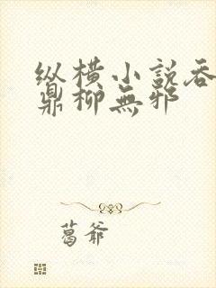 纵横小说吞天神鼎柳无邪