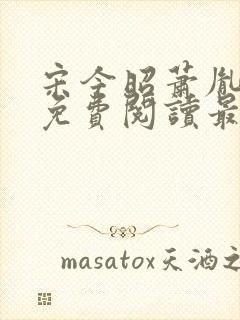 宋今昭萧胤小说免费阅读最新章节封面