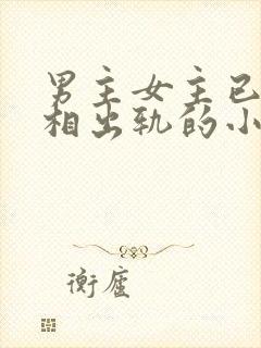 男主女主已婚互相出轨的小说