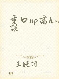 重口np高h小说