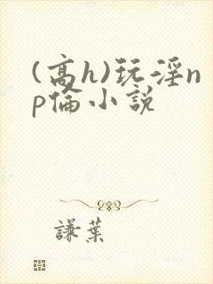 (高h)玩淫np伦小说封面