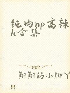 纯肉np高辣文h合集