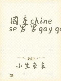 国产chinese男男gay gay网站