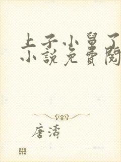 上子小舅了老婆小说免费阅读