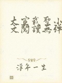 大宣武圣小说全文阅读无弹窗