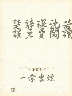 楚辞琛沈若京小说免费阅读无弹窗正版