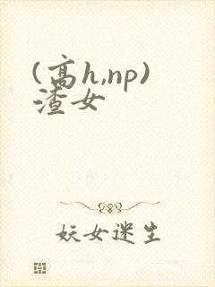 (高h,np)渣女