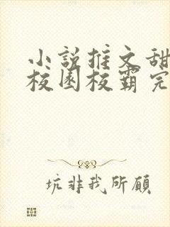 小说推文甜宠文校园校霸完结文