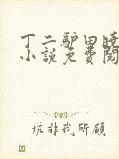 丁二驴田晓兰的小说免费阅读笔趣阁