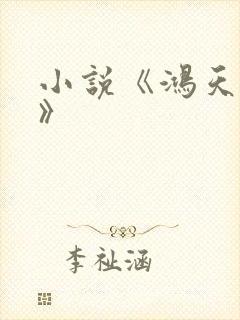 小说《鸿天神尊》