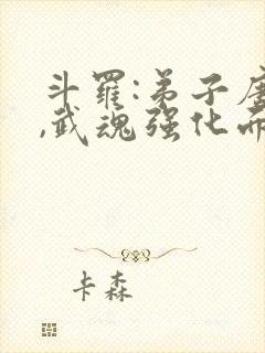 斗罗:弟子唐三,武魂强化面板