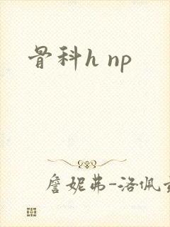 骨科h np
