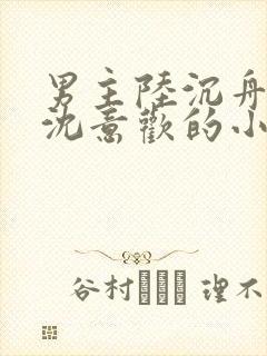 男主陆沉舟女主沈意欢的小说