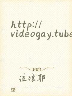 http://videogay.tube/