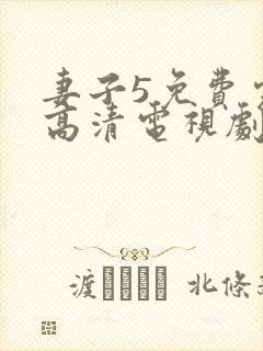 妻子5免费完整高清电视剧在线