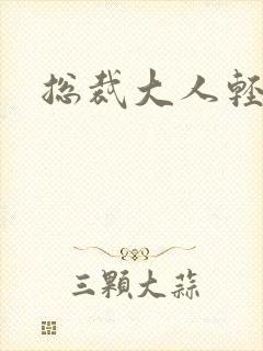 总裁大人轻一点