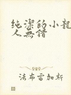 纯洁的小龙捞尸人无错