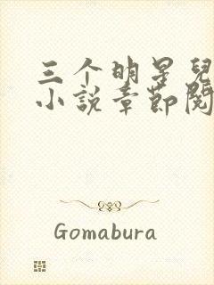 三个明星儿媳妇小说章节阅读免费全文