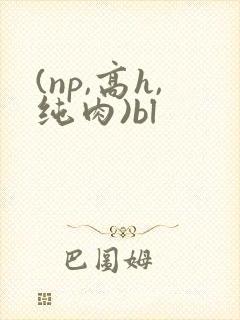 (np,高h,纯肉)bl