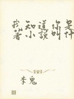 我知道你是谁原著小说叫什么名字