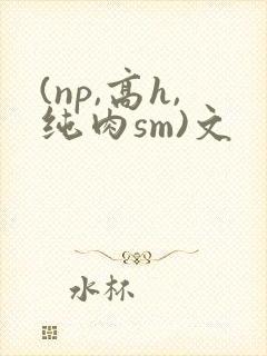 (np,高h,纯肉sm)文