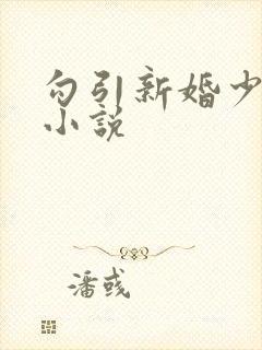 勾引新婚少妇 小说