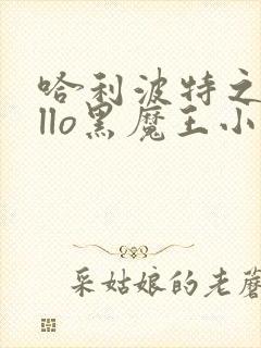 哈利波特之hello黑魔王小说最新章节封面