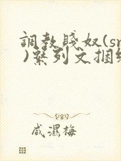 调教贱奴(sm )系列文捆绑封面