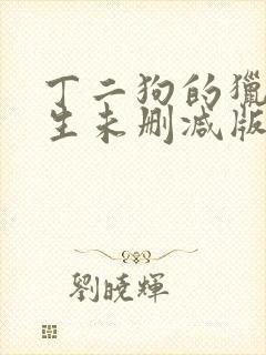 丁二狗的猎艳人生未删减版