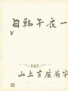 日韩午夜一级av