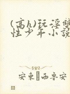(高h)玩淫双性少年小说