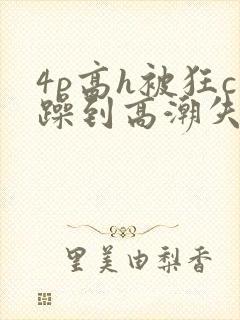 4p高h被狂c躁到高潮失禁视频