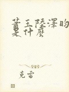 萧玉陆泽昀结局是什么封面